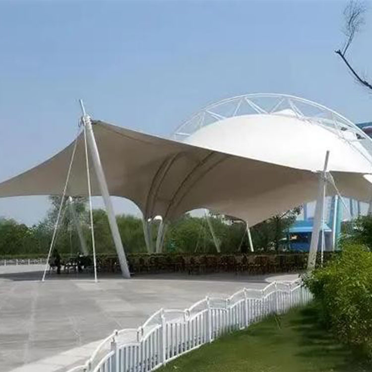 龙港市工程案例