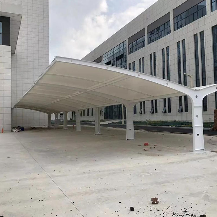 龙港市工程案例